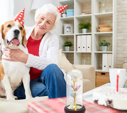 Rose Gifts for Women, Mother, Wedding, Anniversary and Birthday, Girlfriend Wife