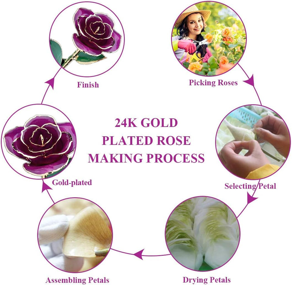 24K Rose for Her, Eternal Love Plated Rose Flower, Romantic Present for Wife, Mom, Grandma, Anniversary, Birthday, Wedding ()
